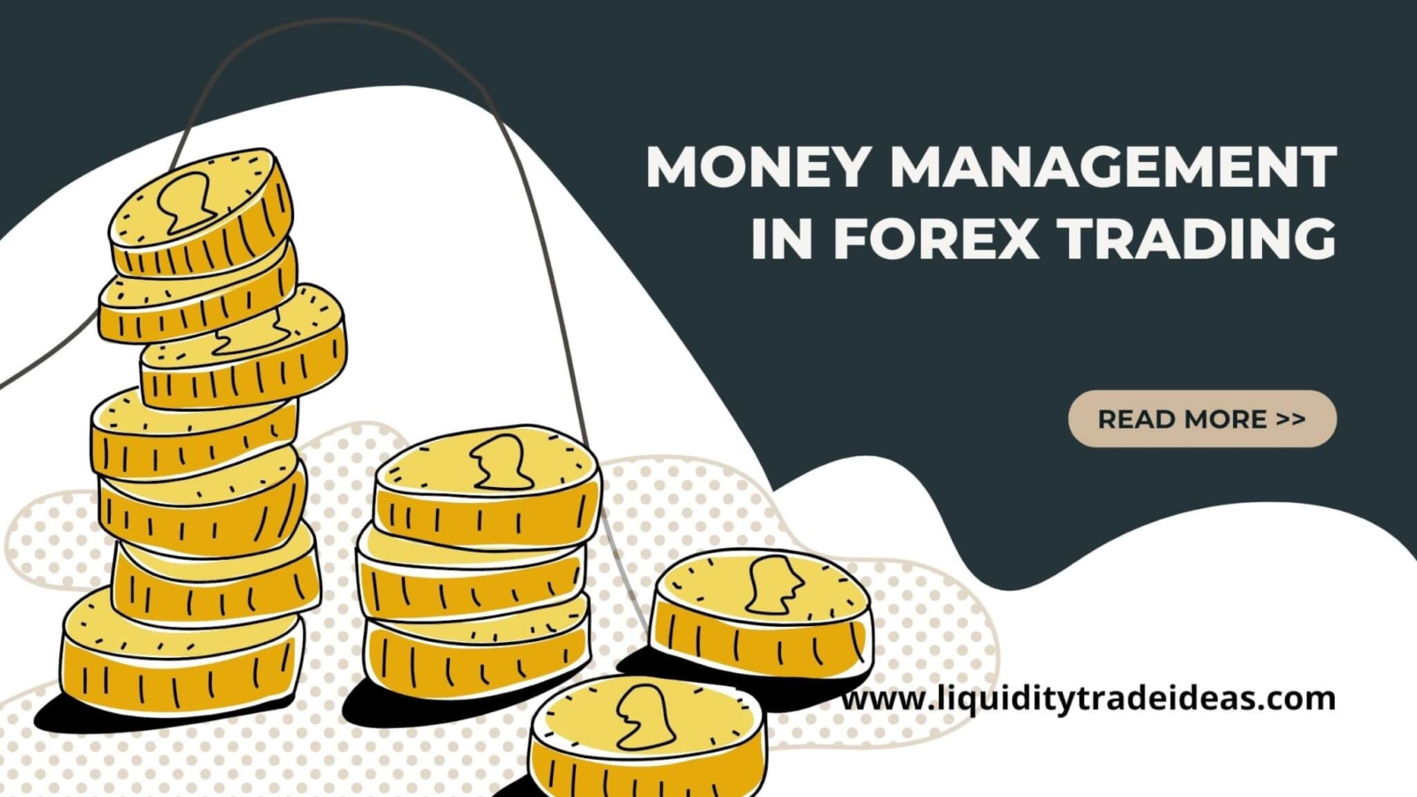 money management in forex trading